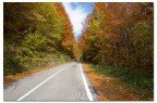 Autunno