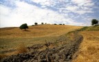 TERRA BRUCIATA