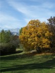 parco zell