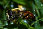 http://www.flickr.com/photos/13017966@N03/
a questo indirizzo sono altre mie foto