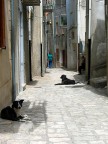 Lucania, Tricarico. Ero incerto se inserirla in street o in paesaggio. Il titolo  dedicato a Marco (atropico) che, da oltre 300 km di distanza, mi ha letto telepaticamente nel pensiero il titolo  'A misura d'uomo' che avevo previsto per un'altra foto di Tricarico, e l'ha usato per una foto sua ... bruciandomi sul tempo.