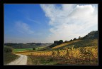 La valle del Sangiovese....