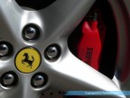 il cavallino