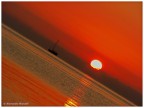 Rossa Tranquillit #2
