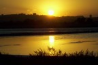 saline di cagliari