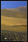 Crete senesi 2