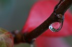 water in red