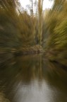 parco di monza #2 (autunno una settimana dopo)