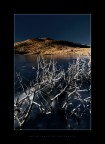 Phase of Freezing