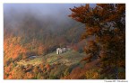Monte Pettino