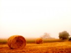 .....autunno....