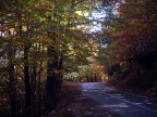 GALLERIA D' AUTUNNO