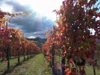 Foto effettuata con Sony F828