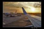 Compatta lumix lz5 - scattata al "volo"...ovviamente...