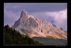 LUMIX FZ50 - zoom a 50mm circa
