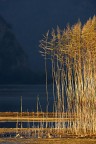 Canneto
