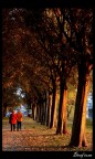 Une balade  travers l'automne
