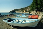 Spiaggia sassosa di Pomonte

Distagon 18mm f4, chiuso a f11
pellicola kodack portra160nc
Scanzione con Canoscan fs4000us e softwer Vuescan
Sistemazione dei livelli per calibrazione colore da file a 48bit colore, raddrizzatina di 2.2 gradi antiorari e successivo ridimenzionamento per l' invio.

Scusate, ma non  proprio tutta l' inquadratura perch la scomoda posizione per fare la foto e l' ottica estrema, mi han fatto fare una foto eccessivamente storta.