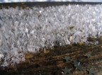 piccolo grande mondo della neve