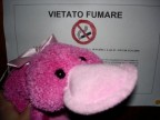 me l'ha regalata il mio Nao per i nostri primi sei mesi...