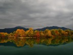 i colori d'autunno sopra un cielo di cobalto