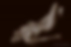 Nudo 11