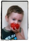 Mi  piaciuta la voracit con cui mio figlio mangiava il pomodoro.

Suggerimenti e critiche sempre ben accetti.