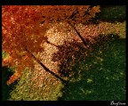 Autumn pt.1