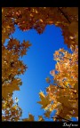 Autumn pt.6