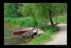 LUMIX FZ50 - 60mm circa