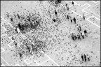 pigeons entropy 2