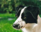 Sguardo intenso...