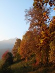Il Mio Autunno