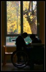 &quot;come d'autunno sugli alberi le foglie&quot;