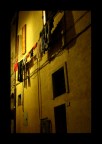 Giallo &amp; Nero(1)