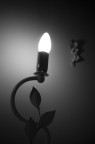 Rivolto alla Luce