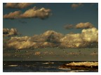 Volo d'autunno