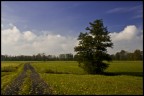 Un primo esperimento senza pretese per un paesaggio. Qualcuno mi da qualche suggerimento su come migliorare in questo genere di scatti?