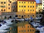 Livorno tipica