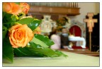 Rosa matrimoniale
