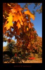 vestirsi d'autunno