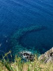 Mare #5