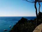 Mare #7