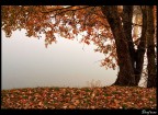 Autumn pt.13