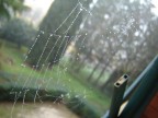 Questo  il mio primo Scatto Fotografico...
anche se nn  milto bello..
ne vado fiera