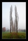 la dritta via