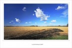 L'ombra... della luce