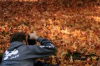 Il mitico membro ISTRICE (mio caro amico e collega) beccato in una composizione fotografica. 
PS:Lui ancora non lo sa :-)