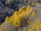 autunno 4