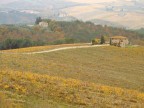 Colline intorno a Firenze una domenica di novembre.